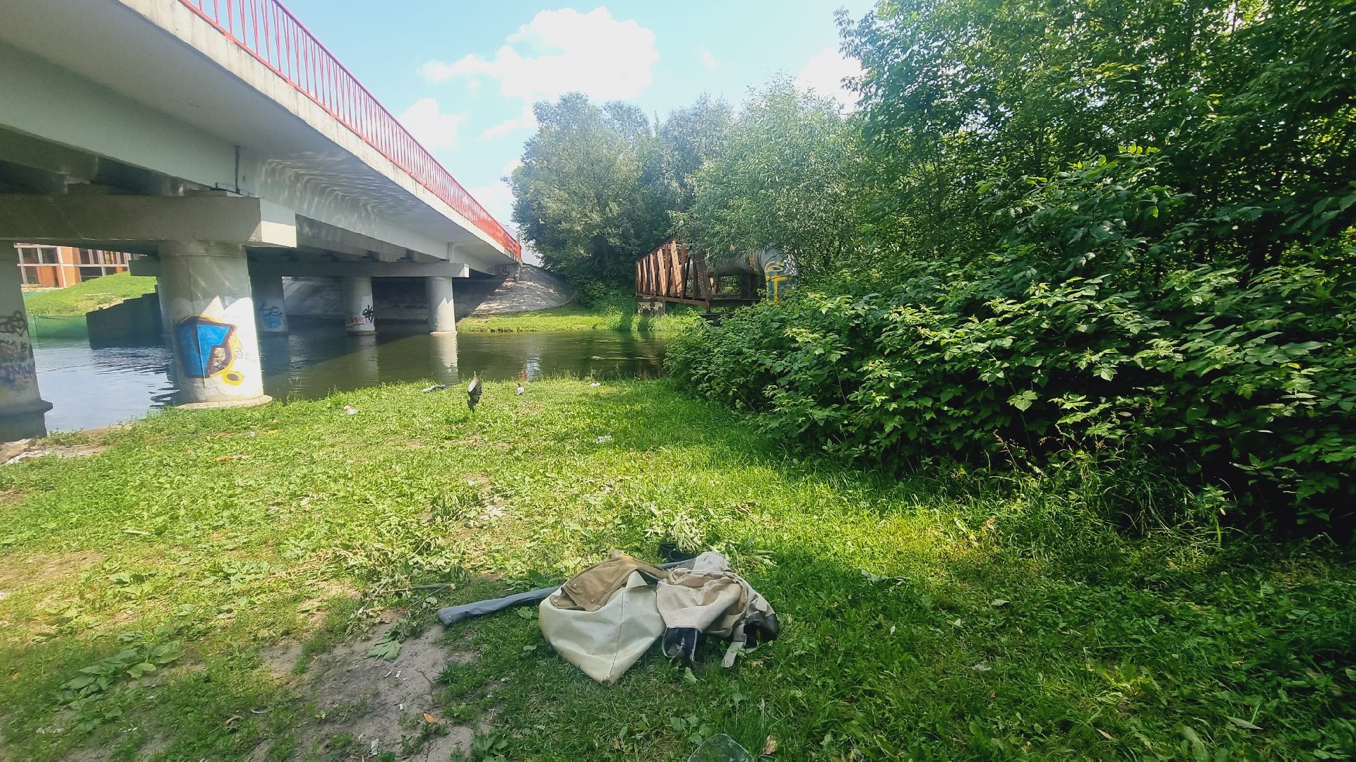 Подмосковье, Ивантеевка, экология