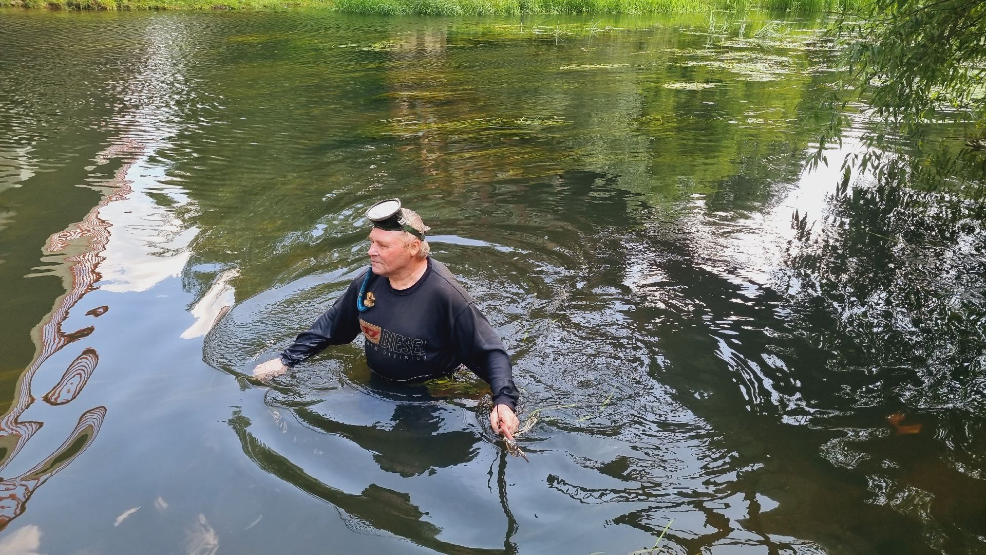 Подмосковье, Ивантеевка, экология