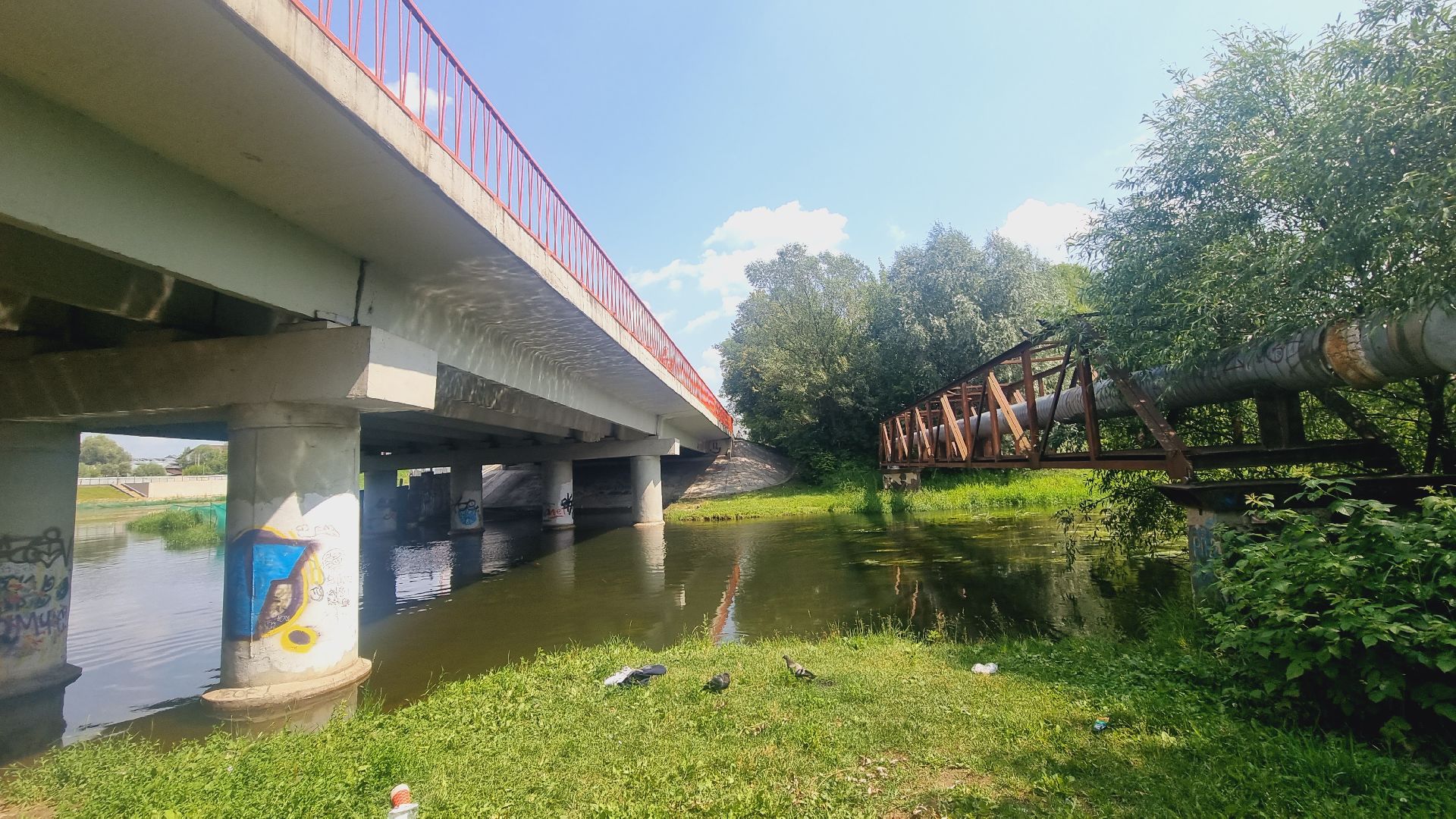 Подмосковье, Ивантеевка, экология