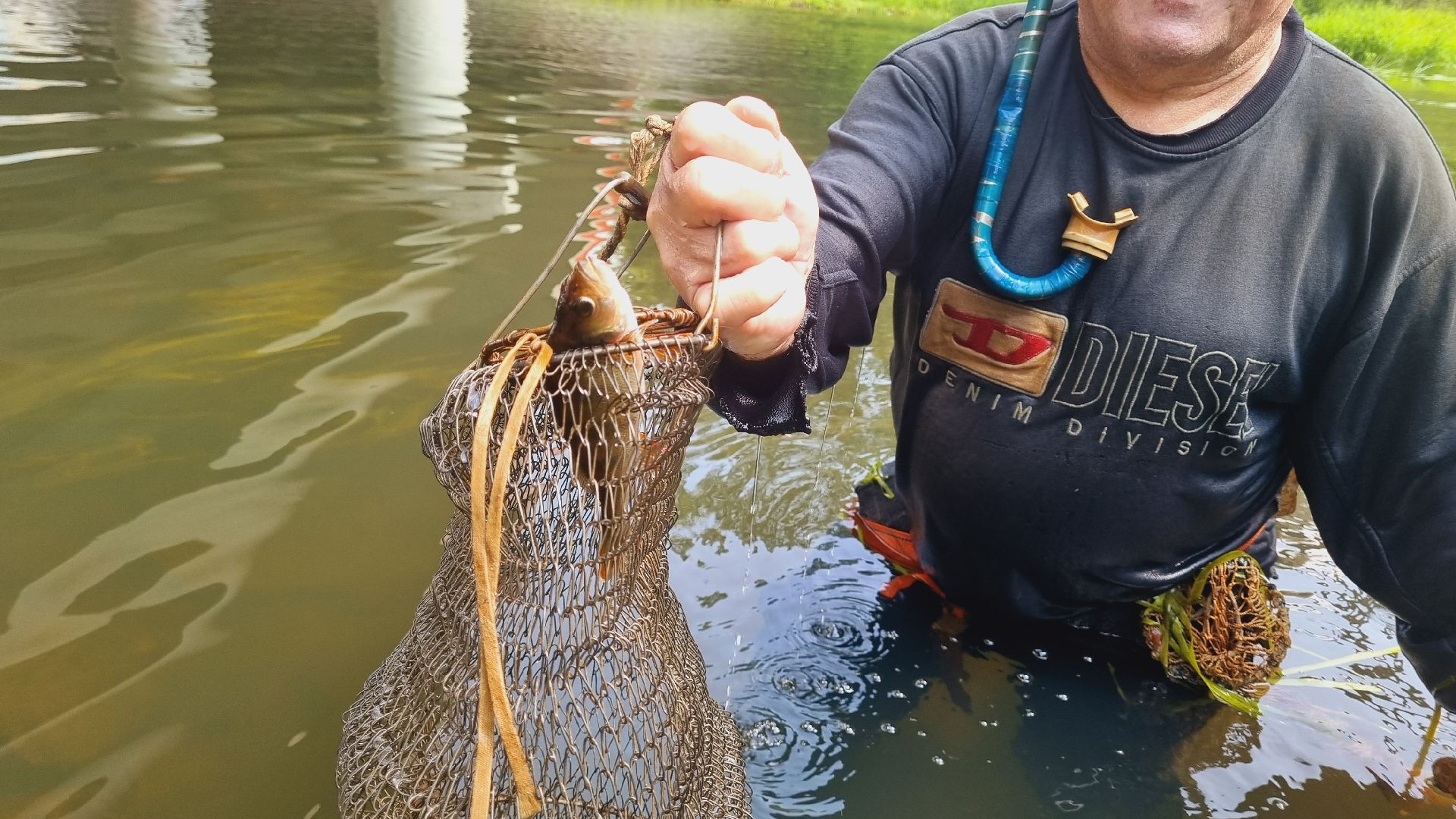 Подмосковье, Ивантеевка, экология