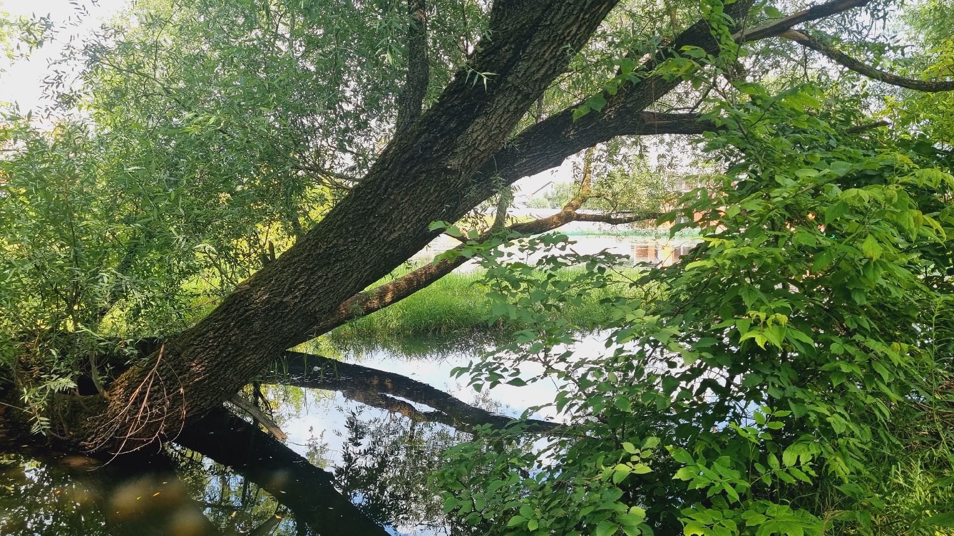 Подмосковье, Ивантеевка, экология