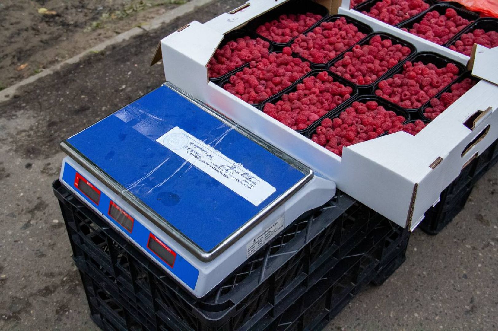 Подольск, торговля