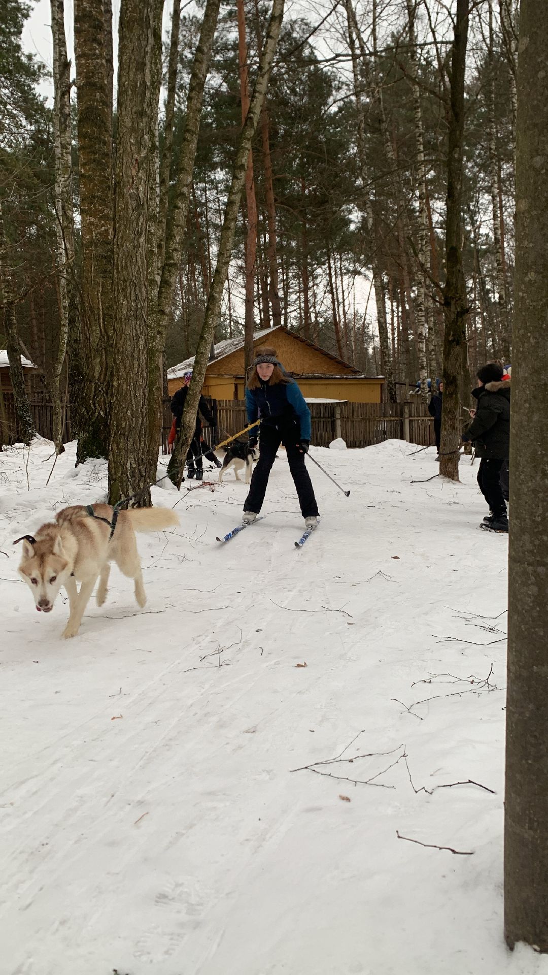 Ступино, города