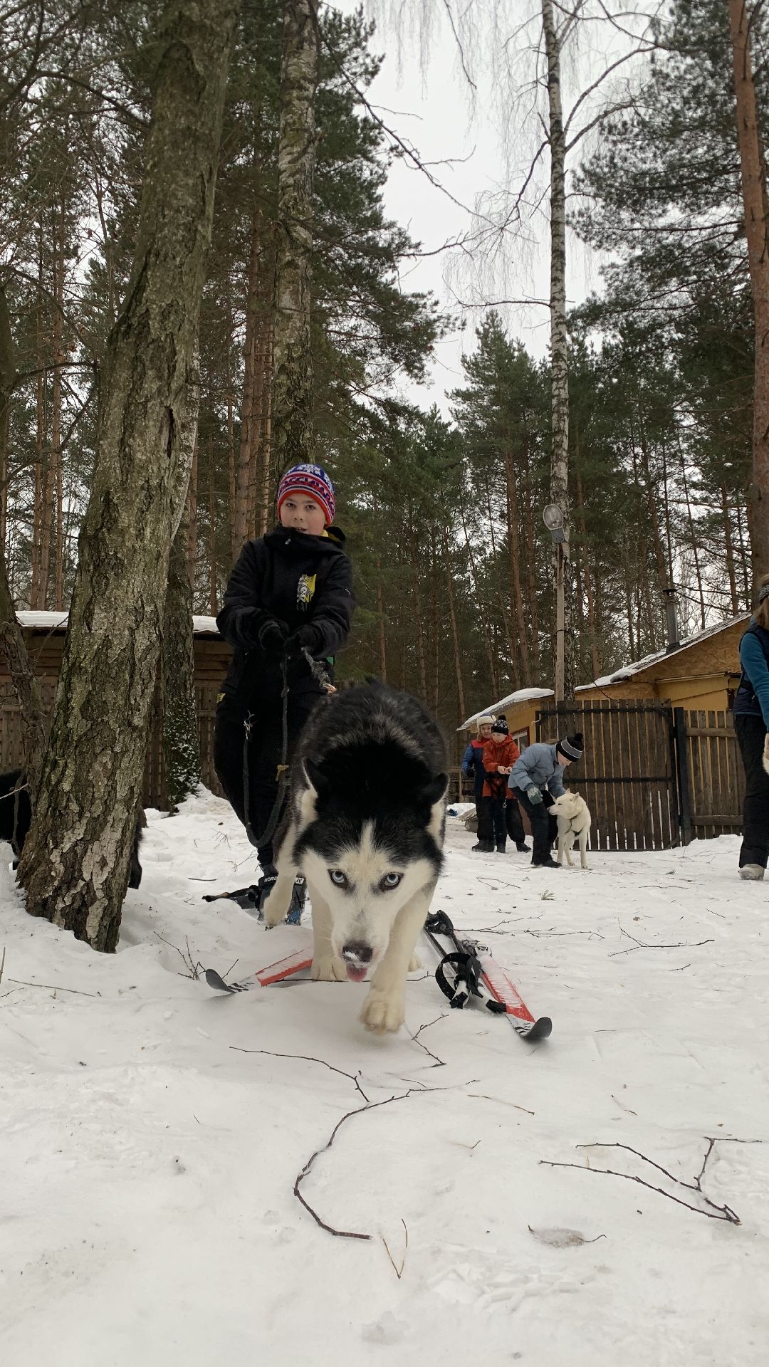 Ступино, города