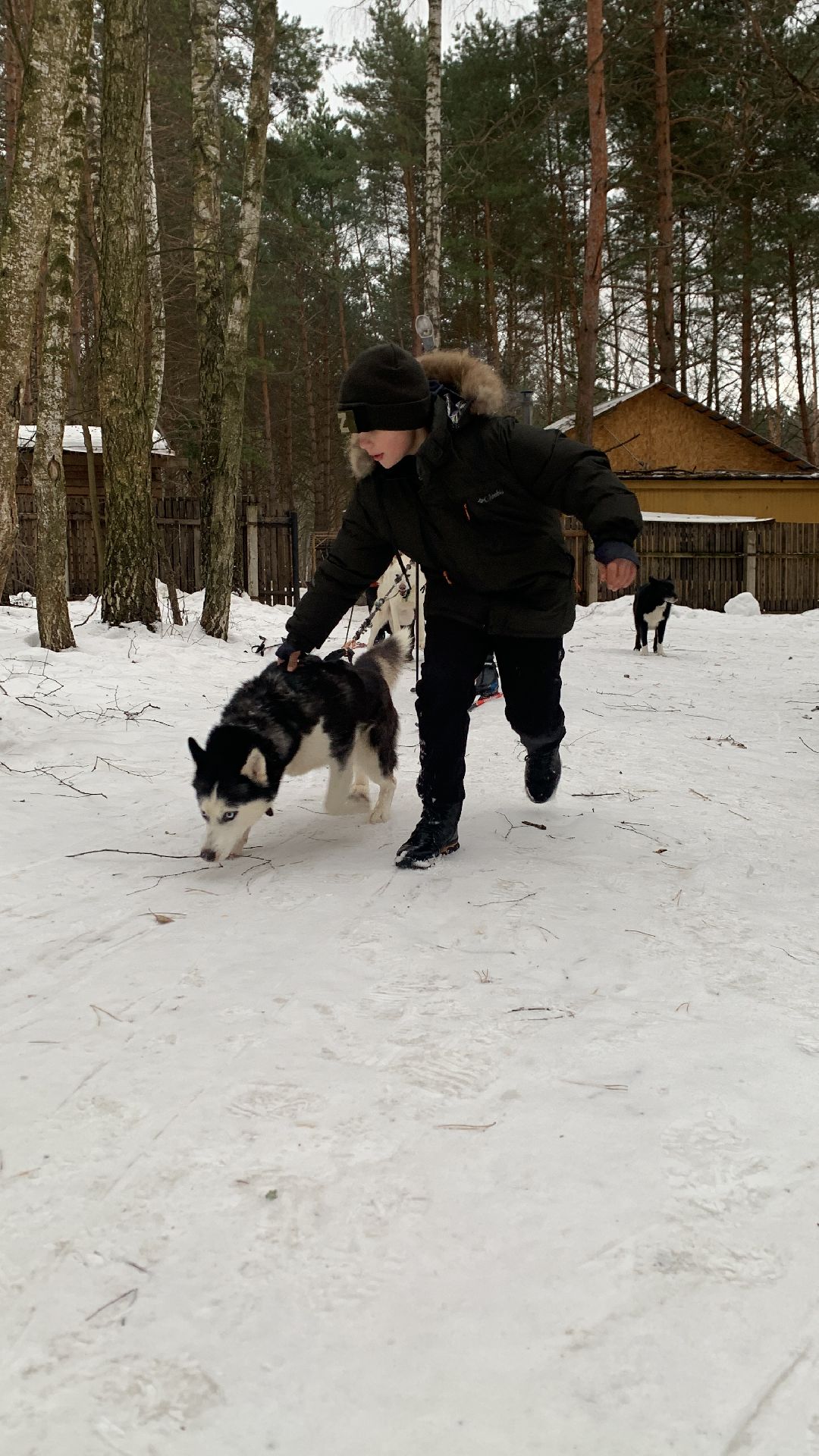 Ступино, города