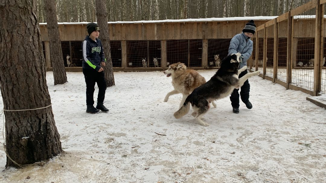 Ступино, города