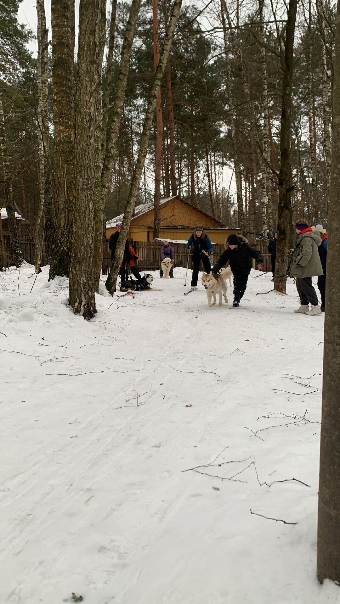 Ступино, города