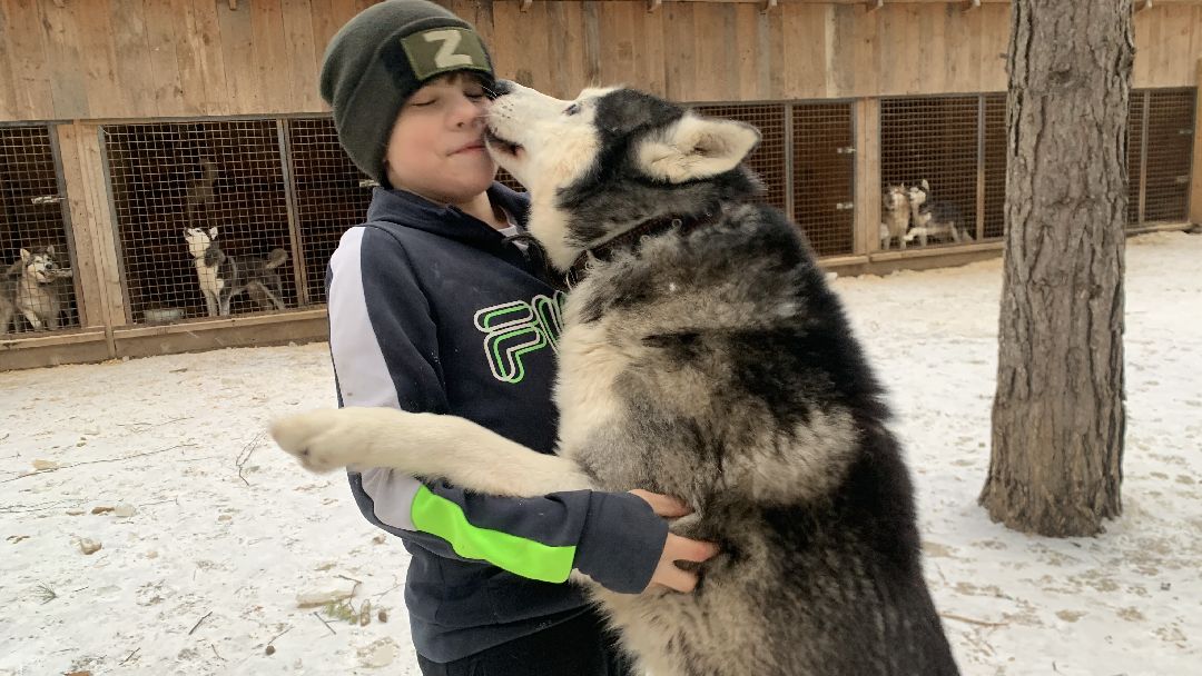 Ступино, города