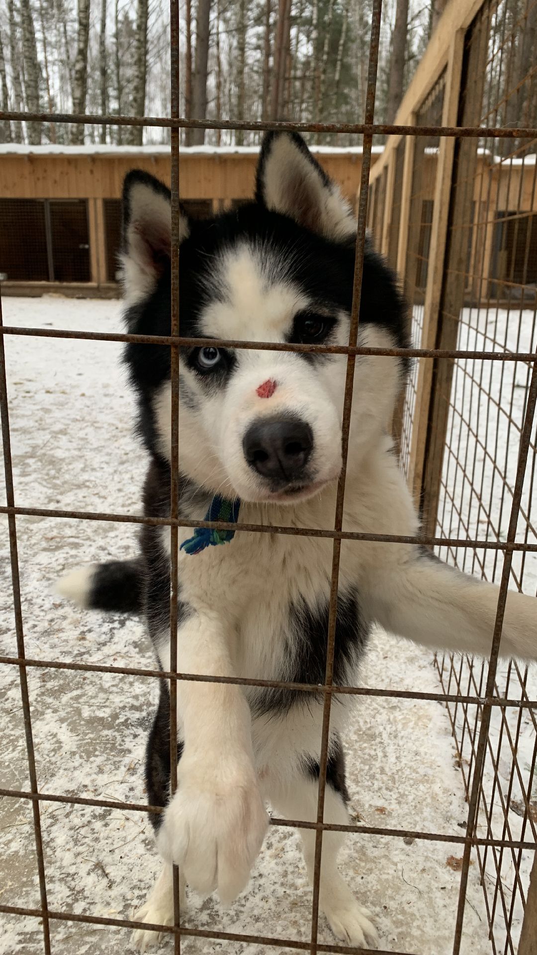 Ступино, города