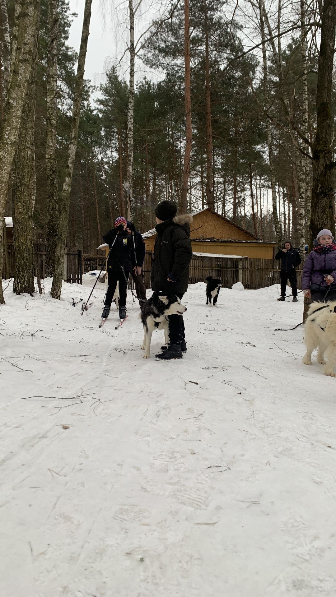 Ступино, города