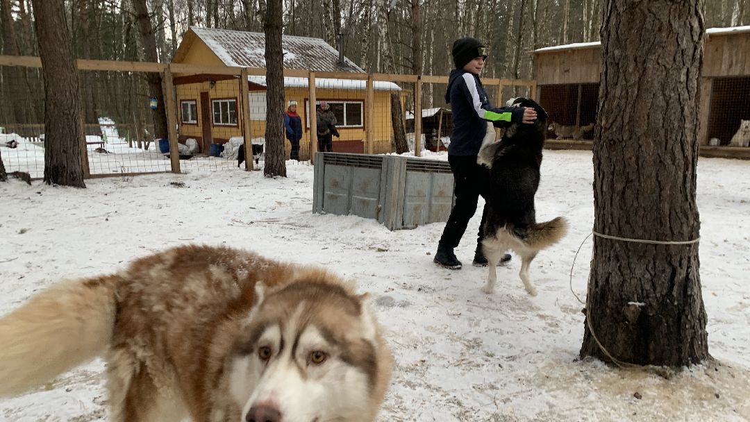 Ступино, города