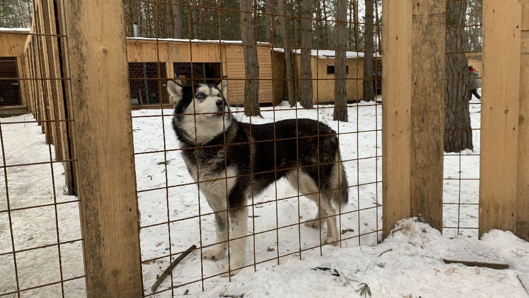 Ступино, города