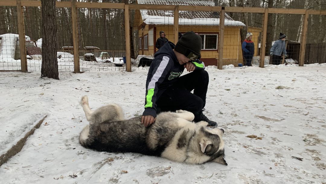 Ступино, города