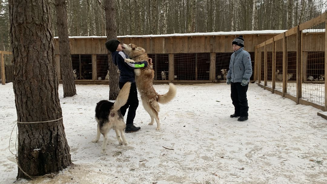 Ступино, города