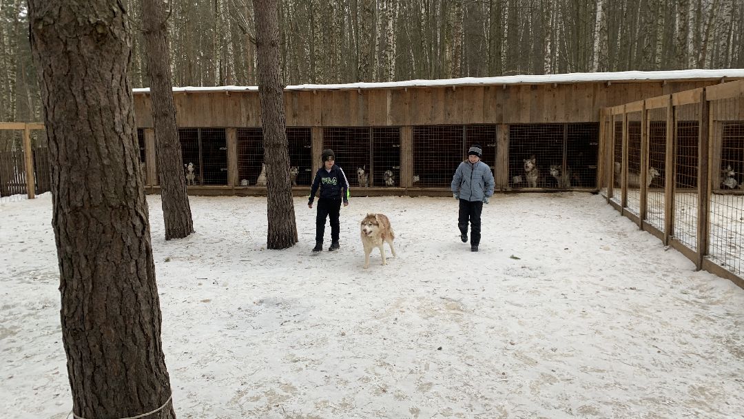 Ступино, города
