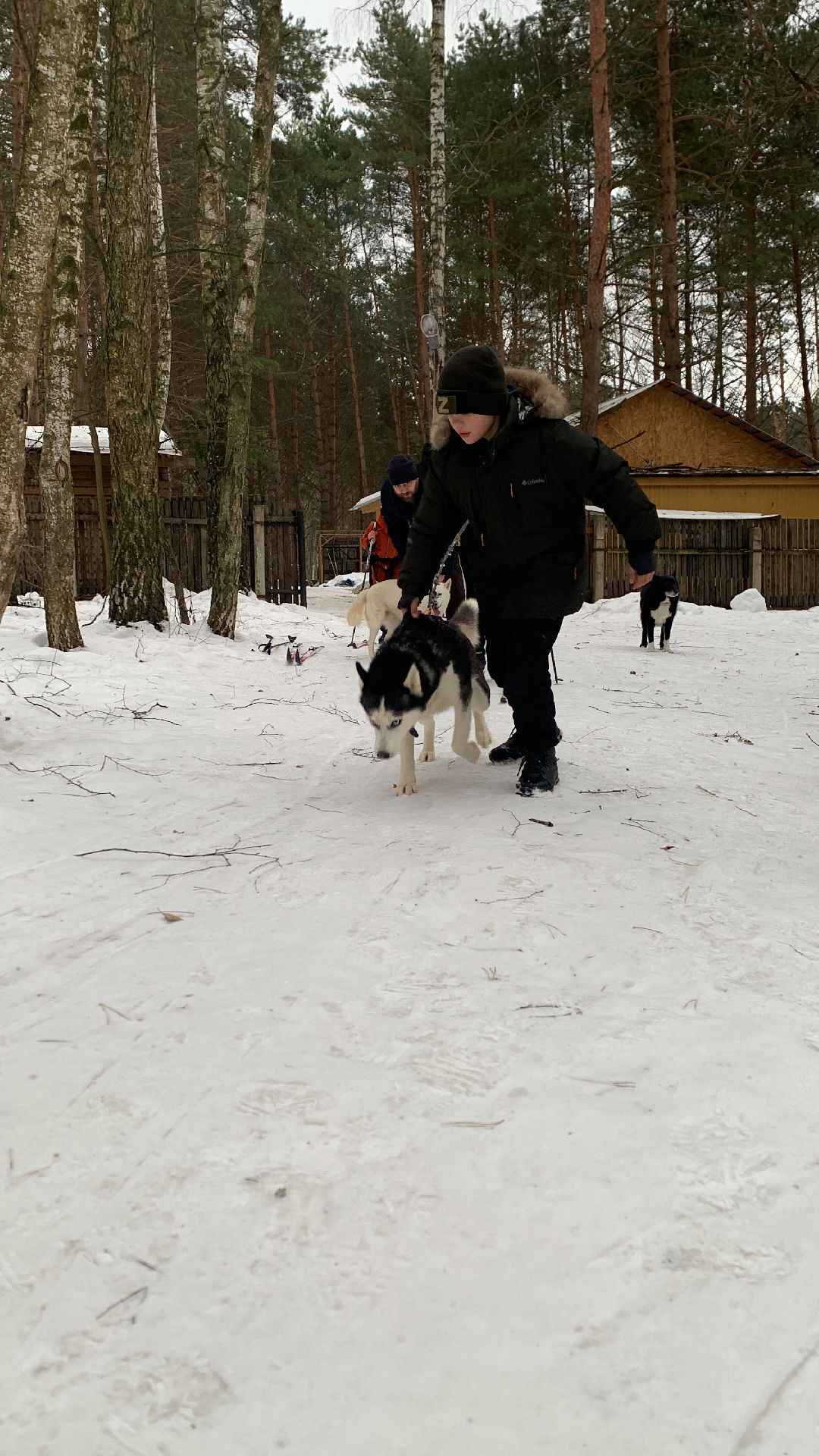 Ступино, города