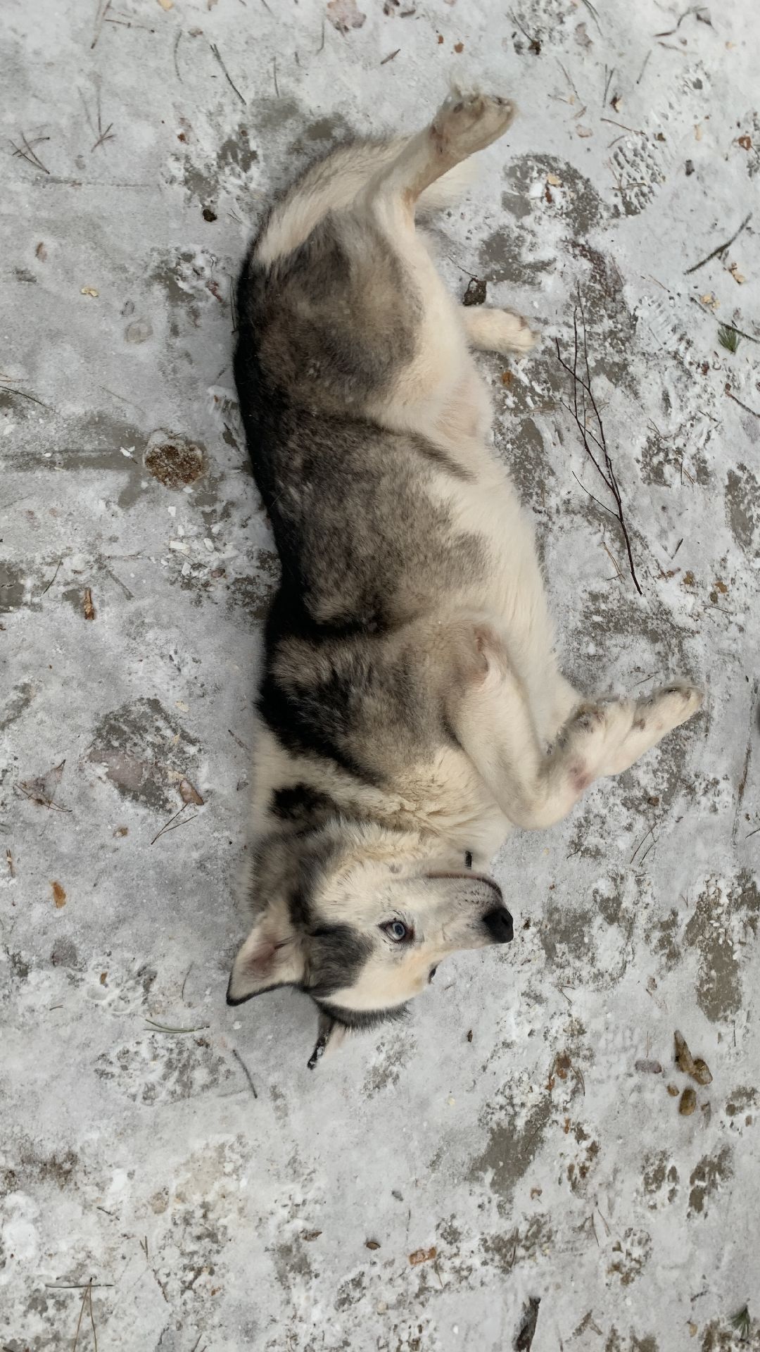 Ступино, города