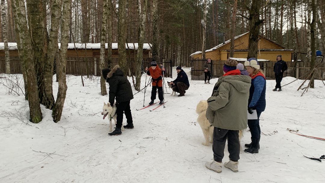 Ступино, города