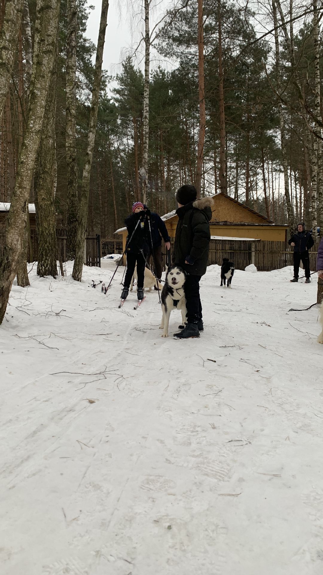 Ступино, города