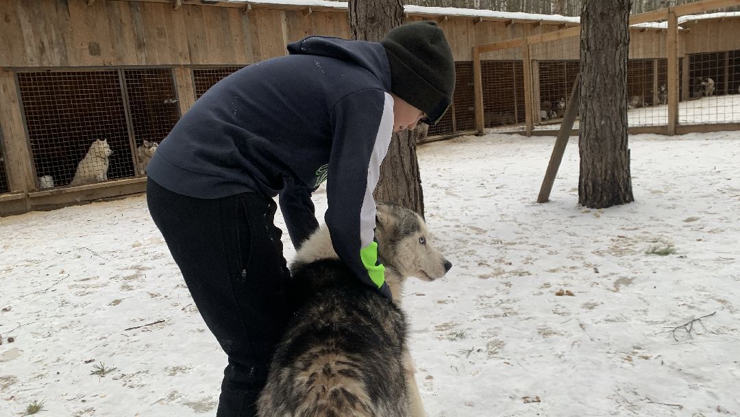 Ступино, города