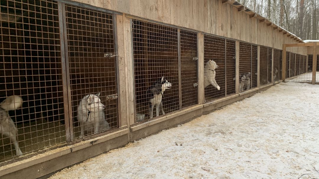 Ступино, города