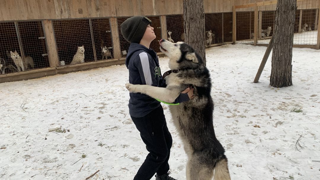 Ступино, города
