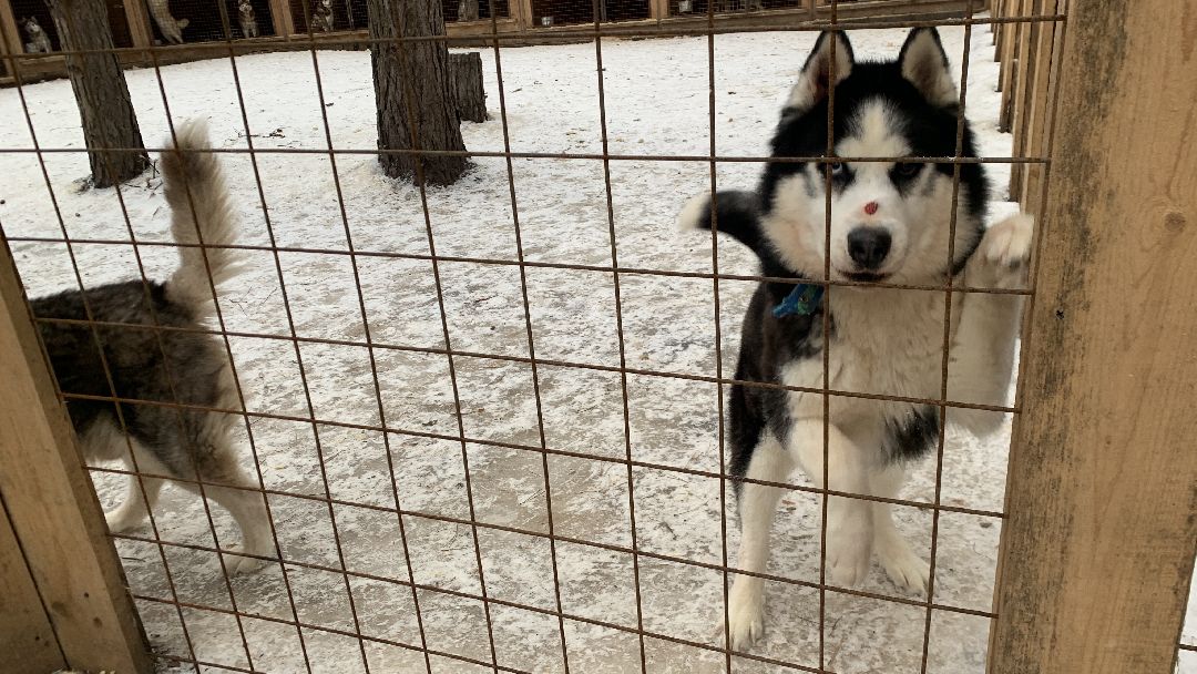 Ступино, города