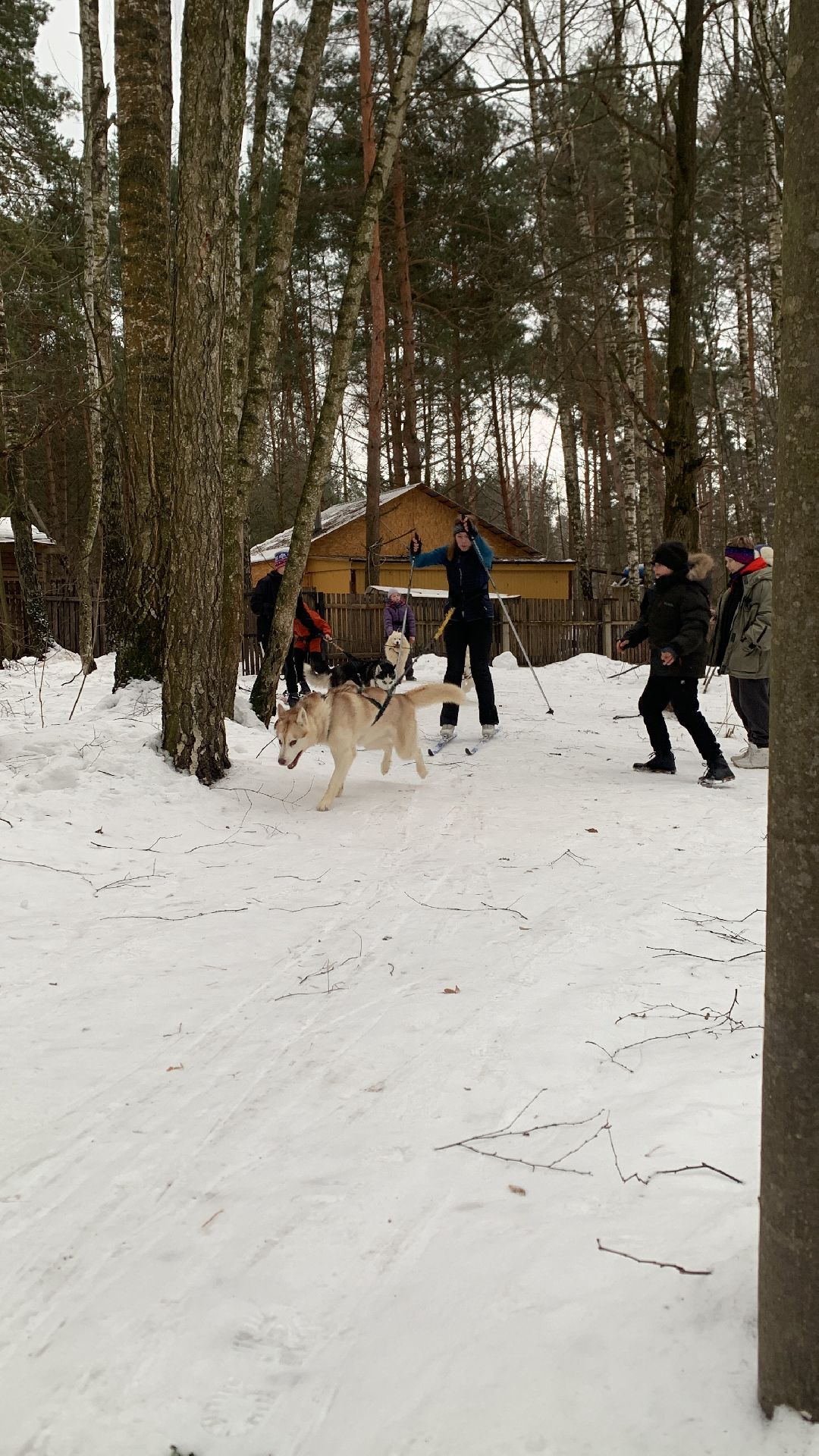 Ступино, города