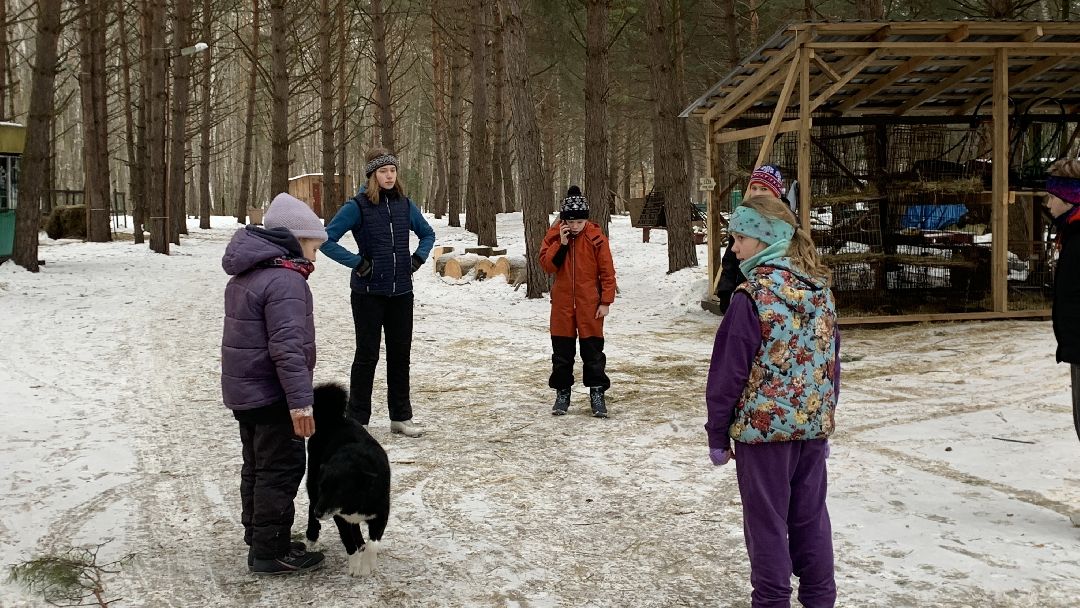 Ступино, города