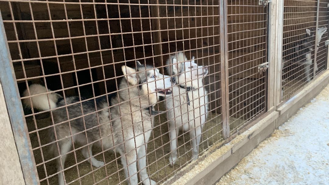 Ступино, города