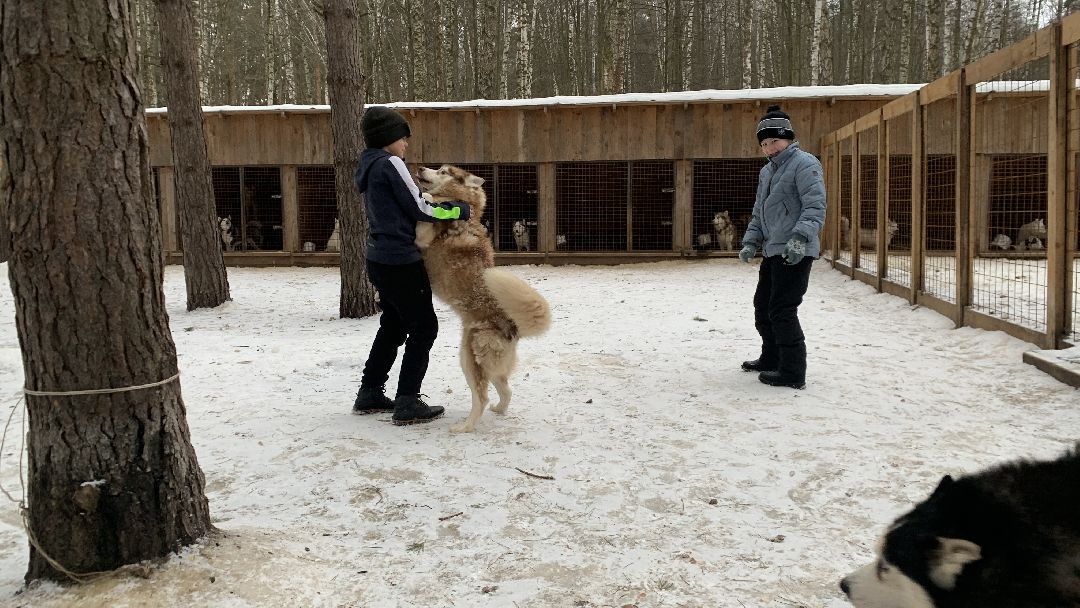 Ступино, города