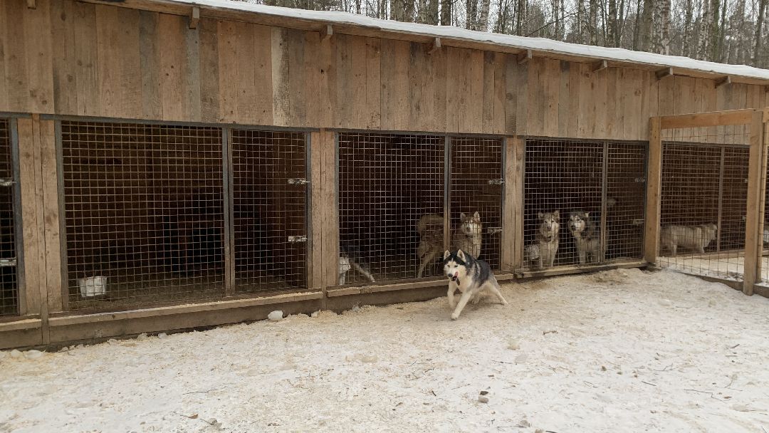 Ступино, города