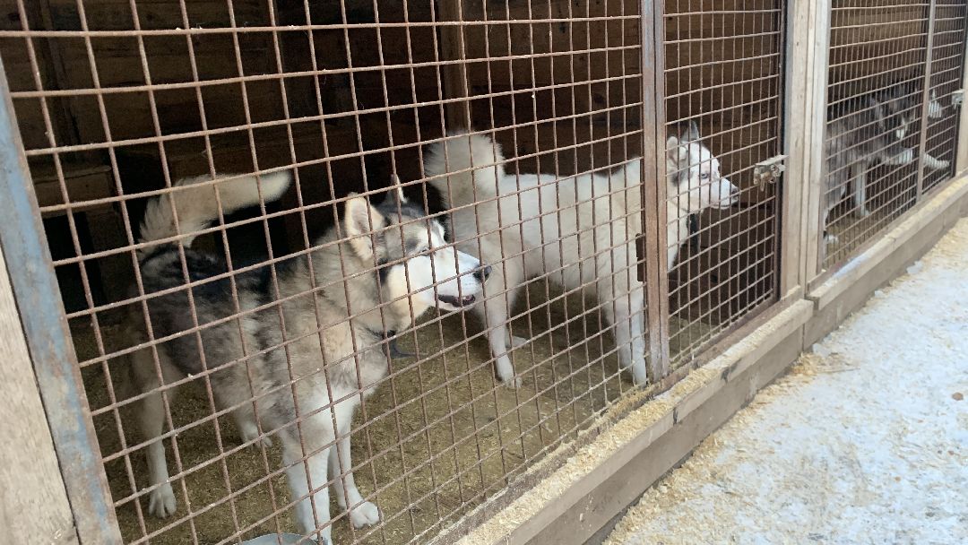 Ступино, города