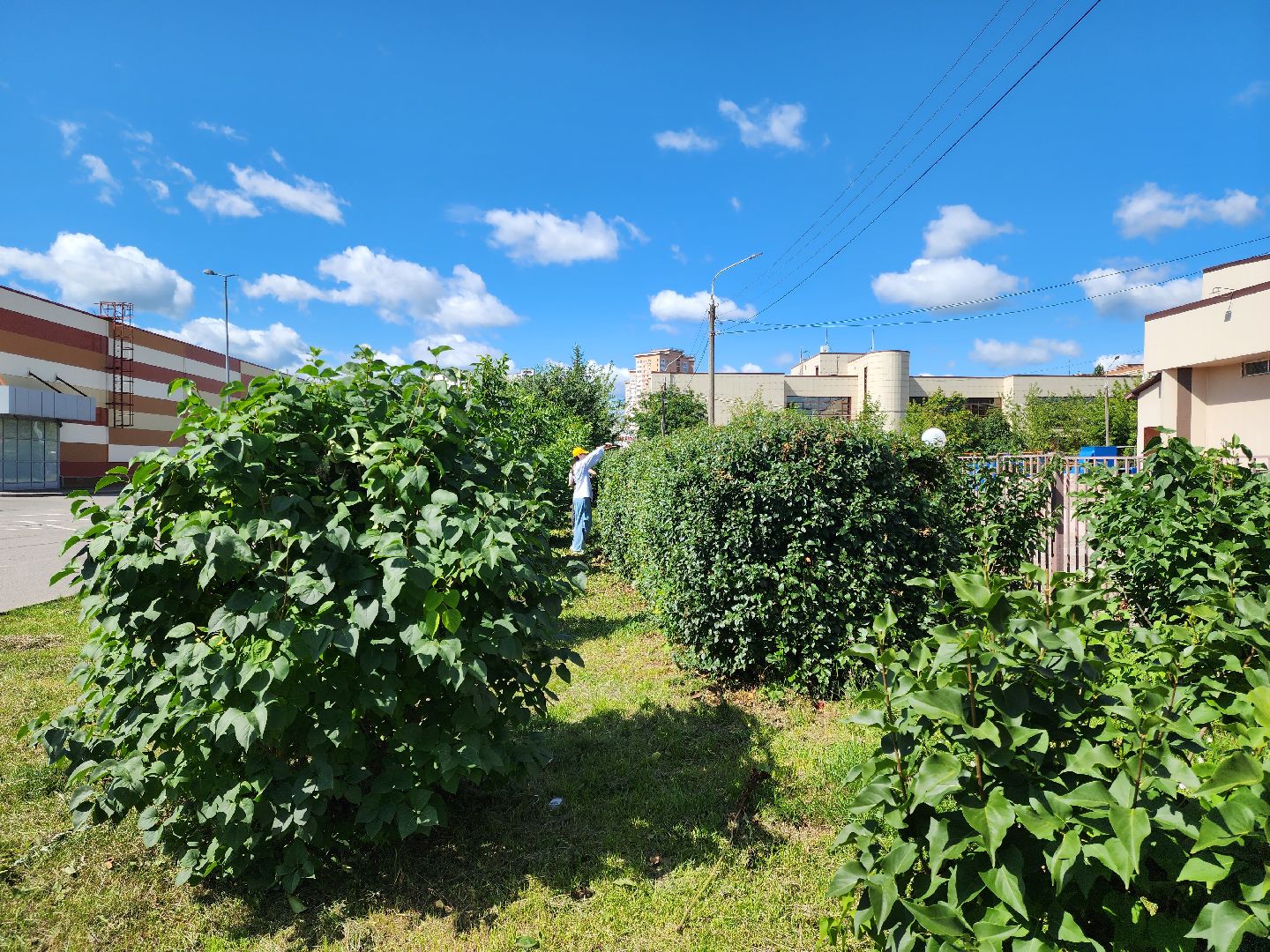 Подольск, трудовые бригады, школьники, учреждения культуры