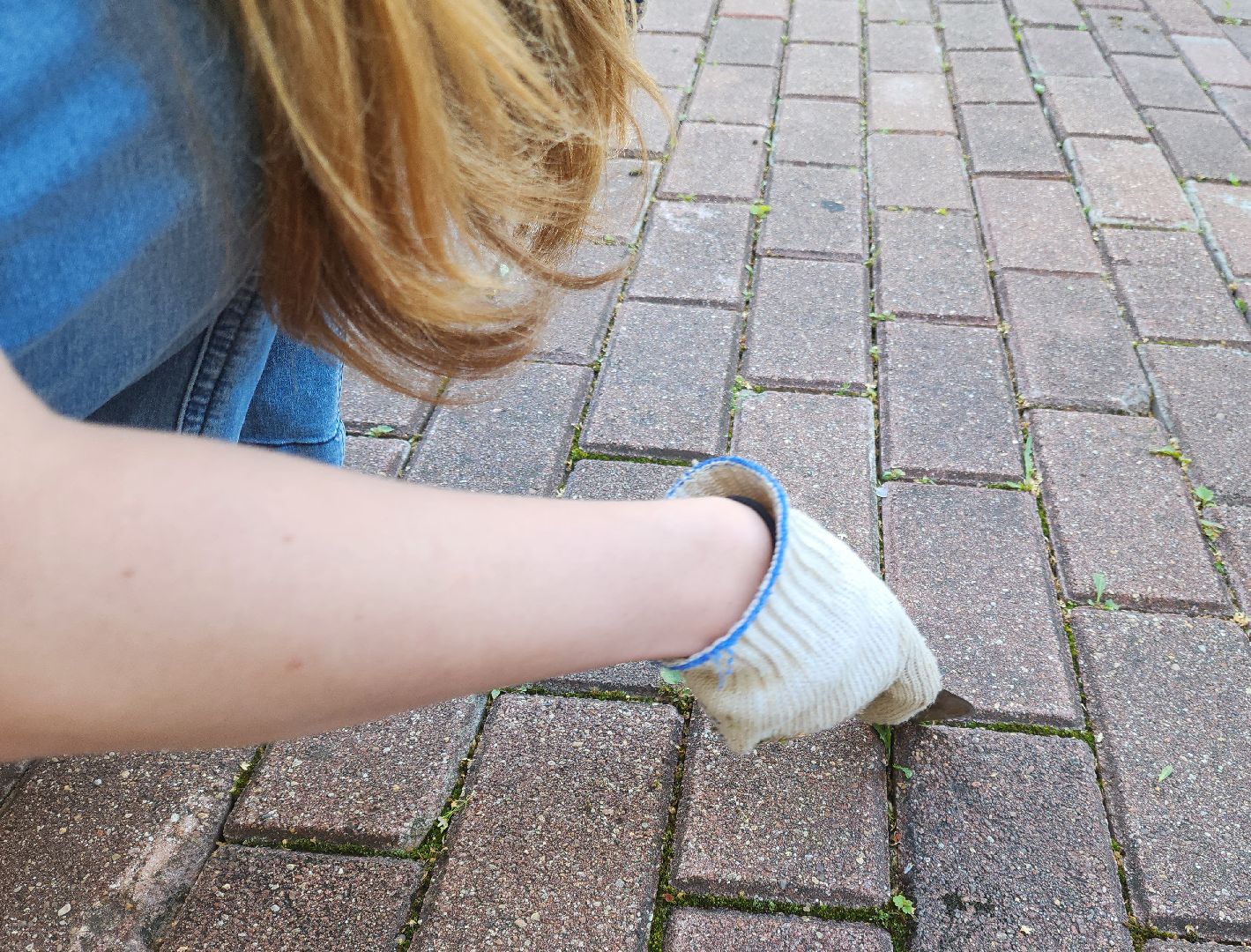 Подольск, трудовые бригады, школьники, учреждения культуры