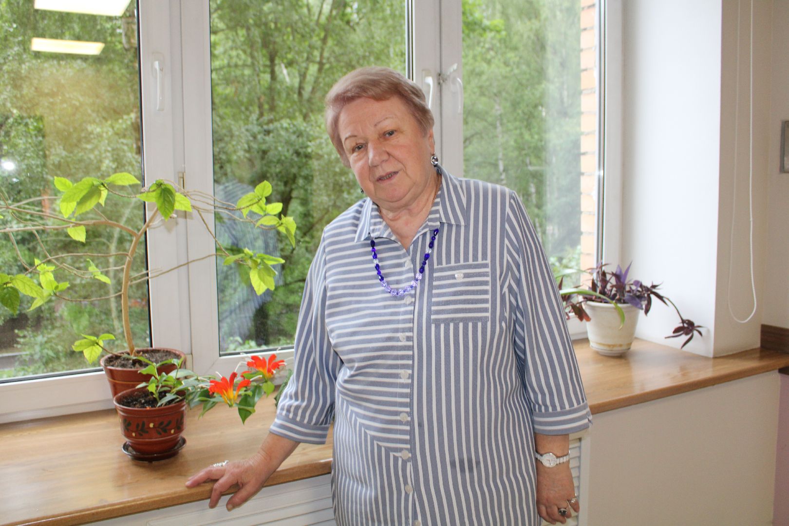 Люди ТИК, политика, выборы,избирательная комиссия,Красногорск