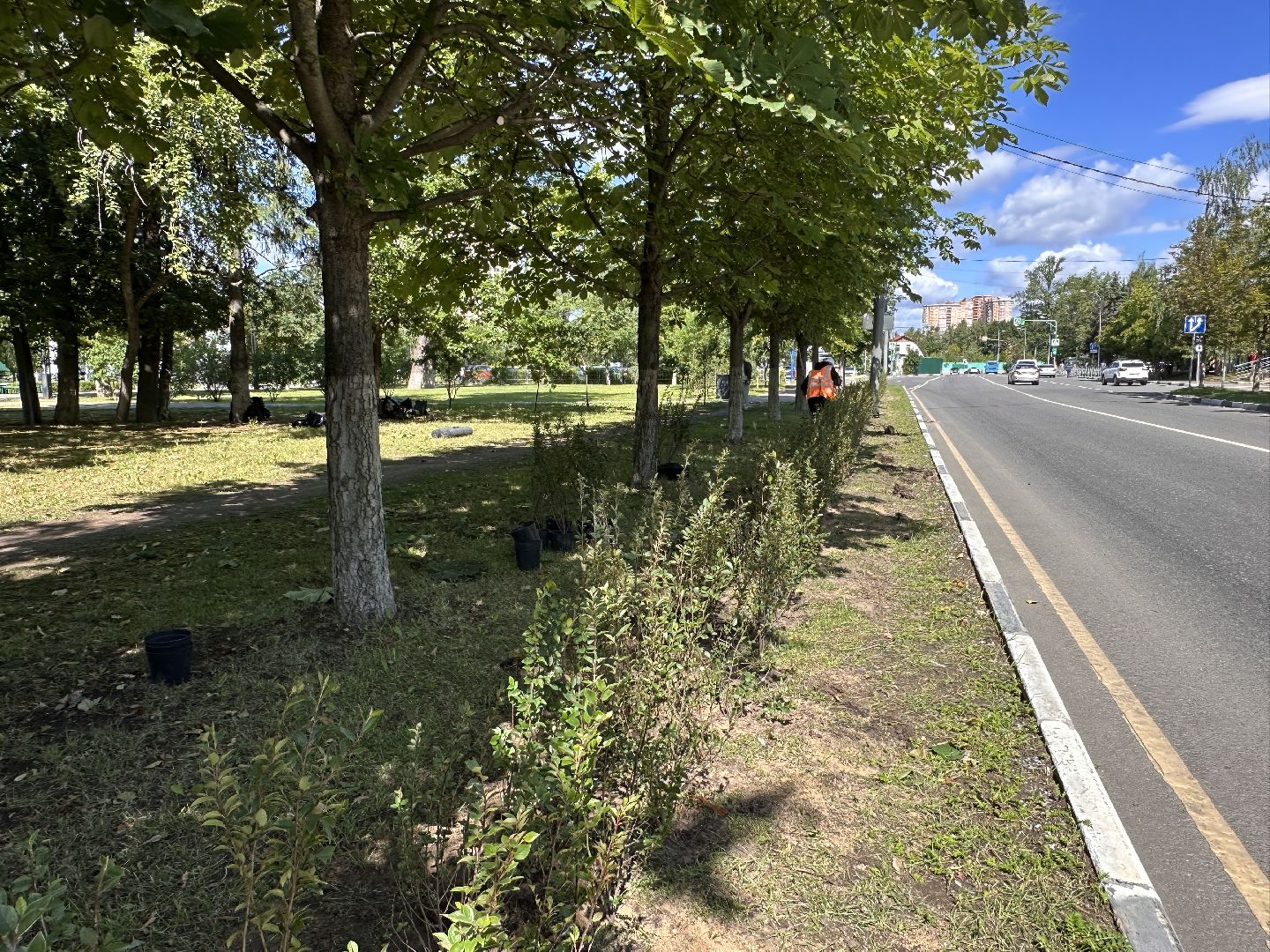 Одинцово, Благоустройство, Зелёное хозяйство, Озеленение