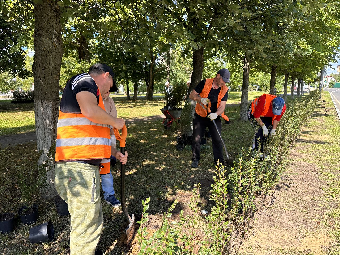 Одинцово, Благоустройство, Экология