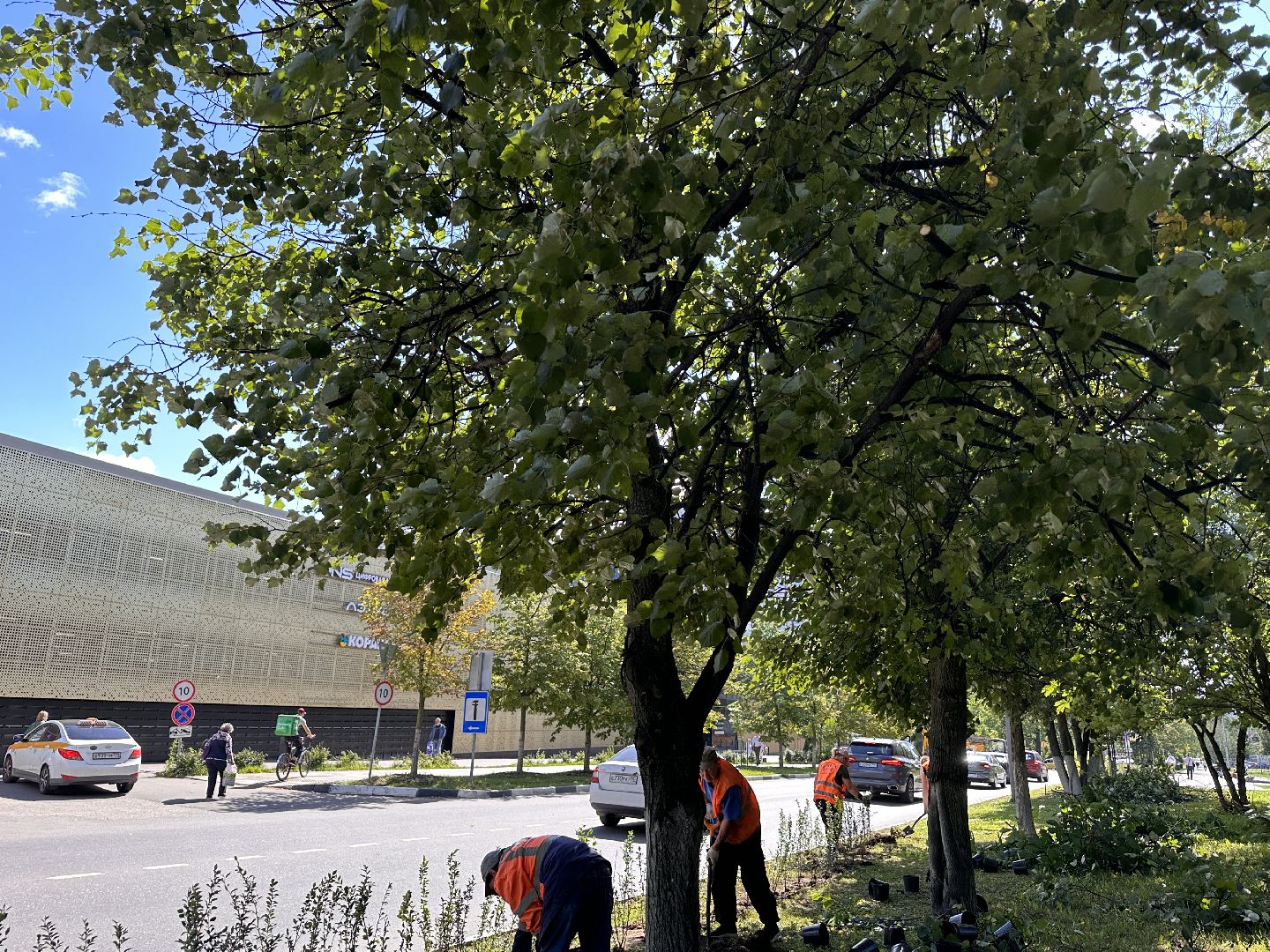 Одинцово, Благоустройство, Экология