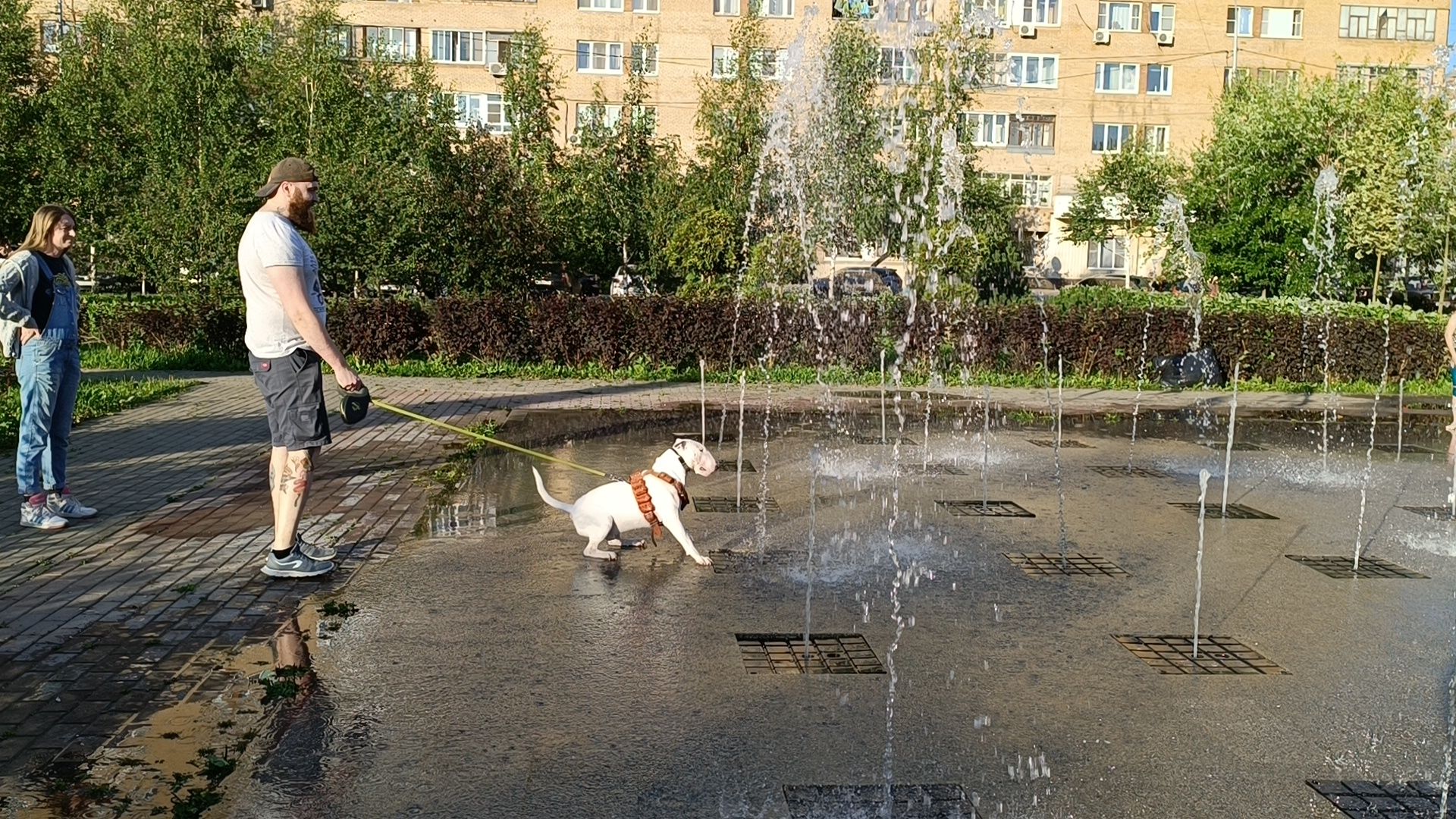 Лобня, парк, фонтан