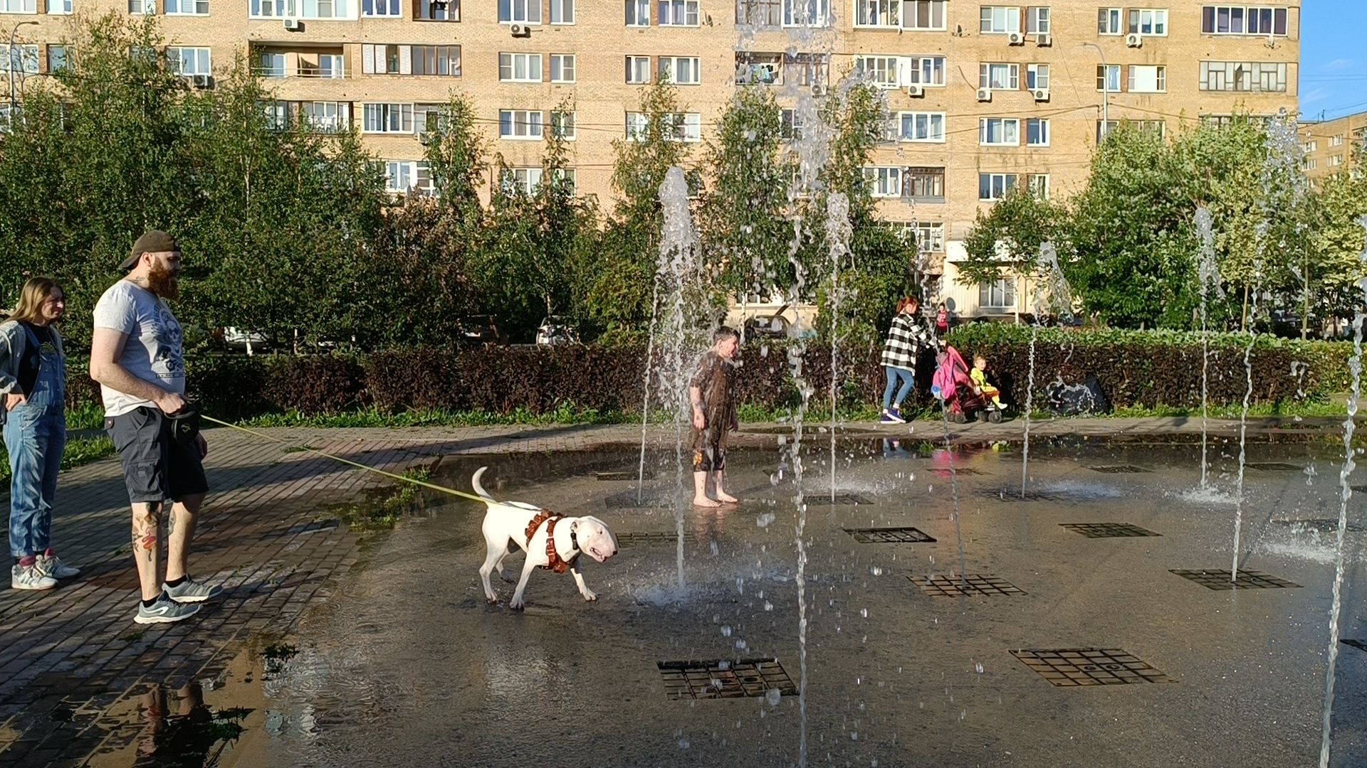 Лобня, парк, фонтан