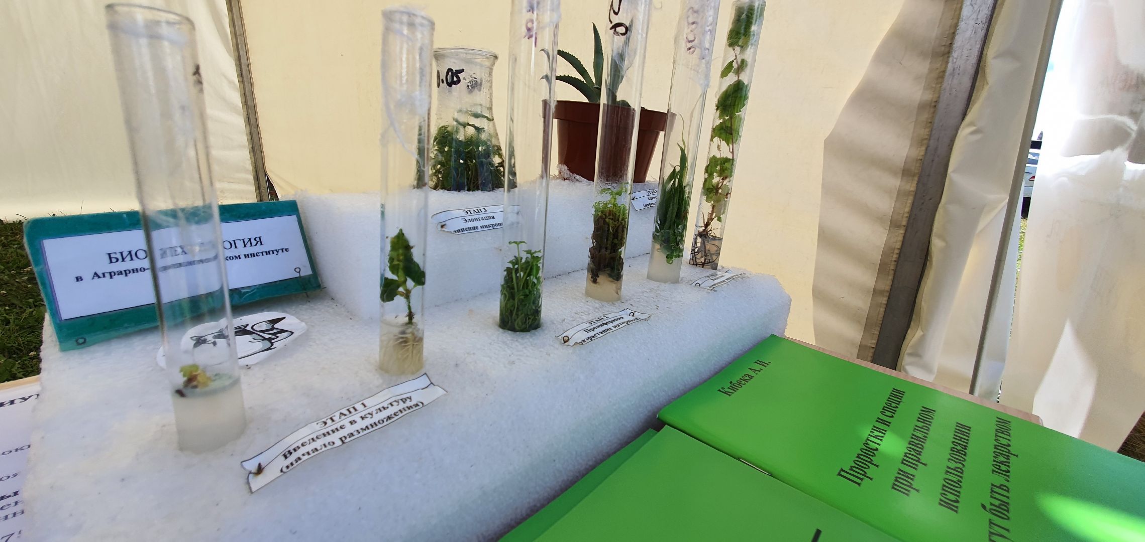 Агрополегон 2023, Домодедово