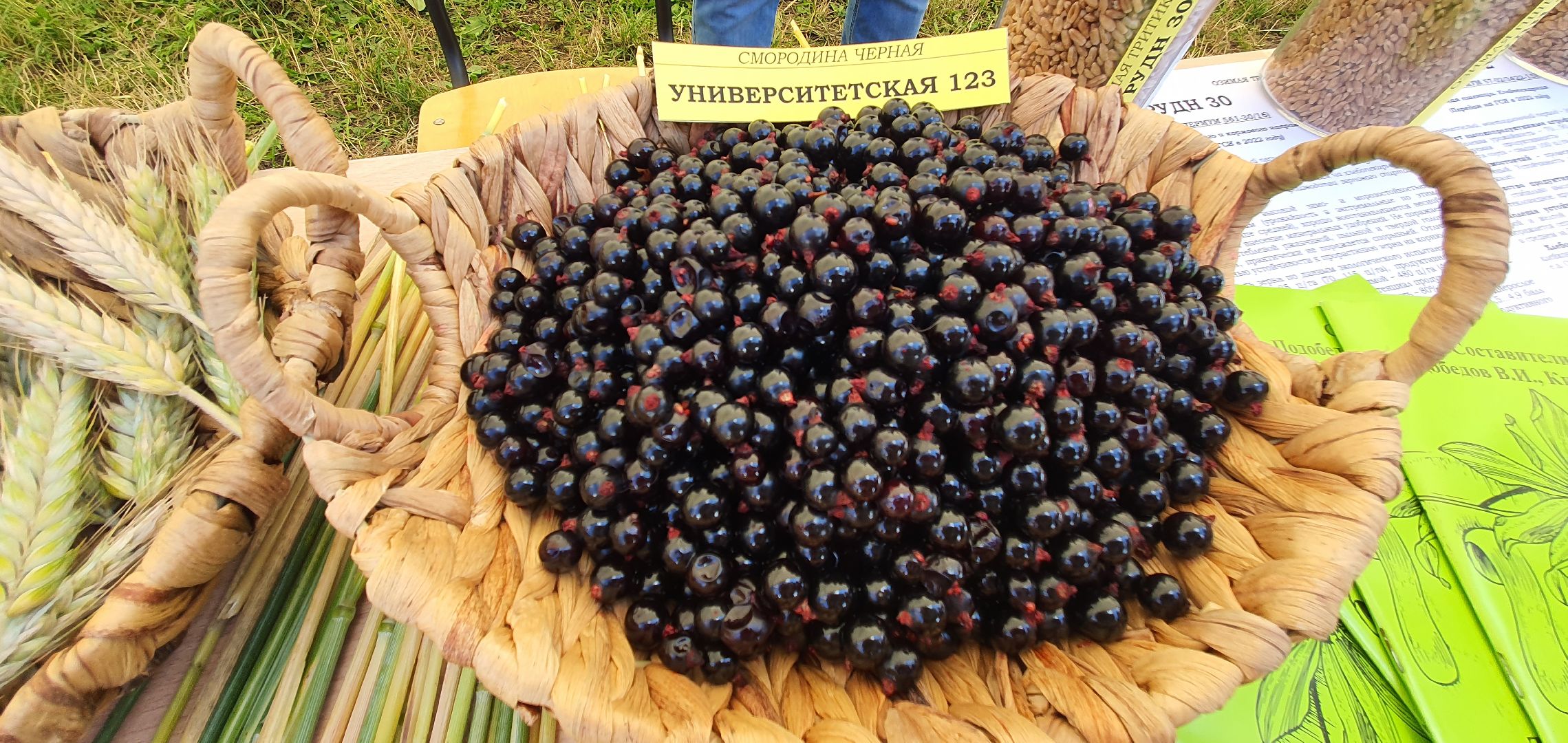 Агрополегон 2023, Домодедово