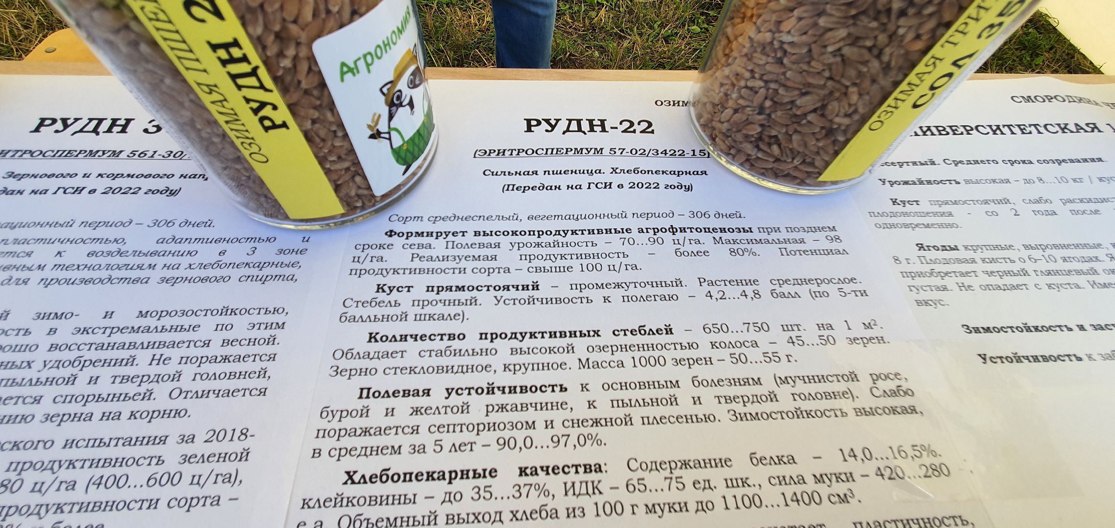 Агрополегон 2023, Домодедово