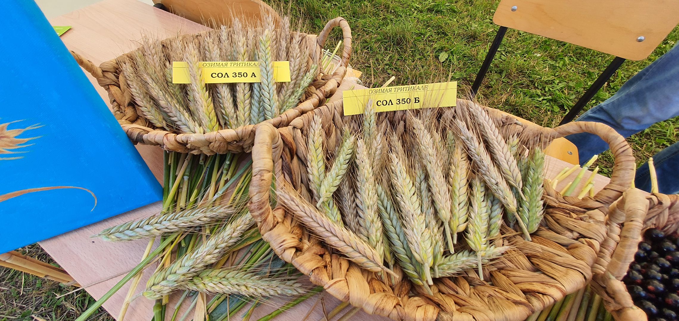 Агрополегон 2023, Домодедово