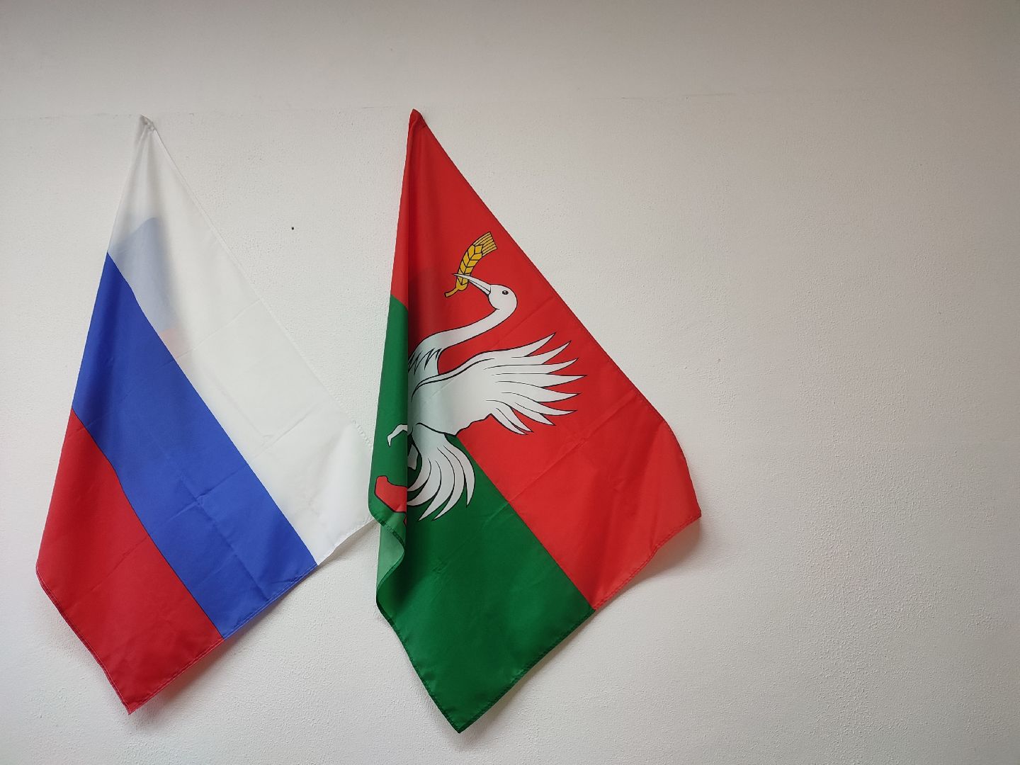 #тик, #талдом, #выборы2023, #выборыгубернатора, #голосование