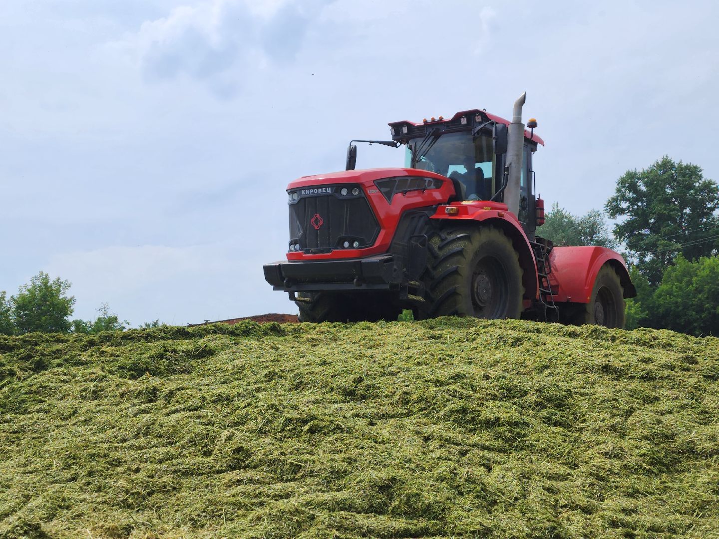 экономика, сельское хозяйство