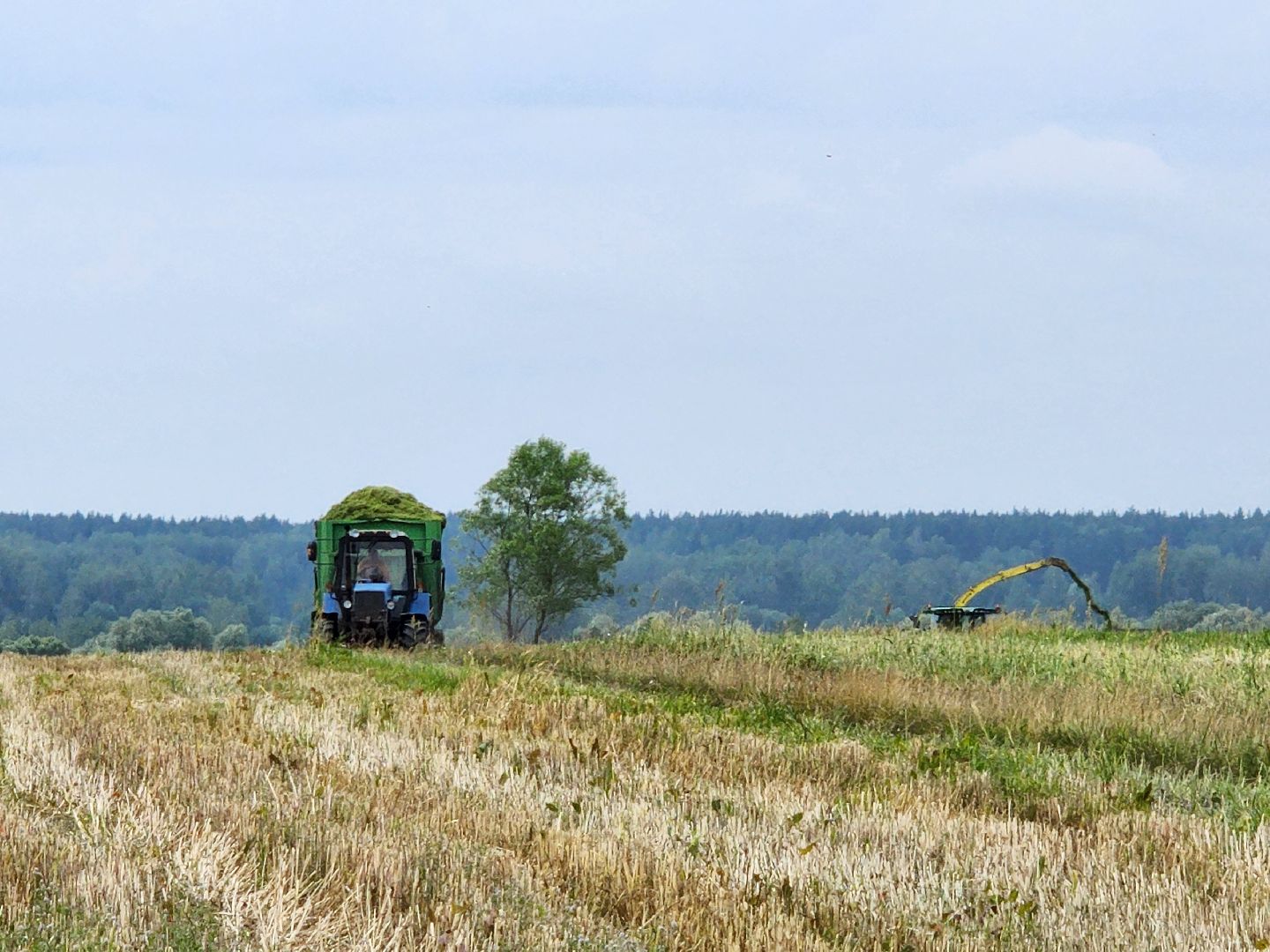 экономика, сельское хозяйство