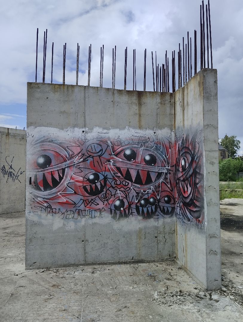 Строительство, долгострой, дольщики, Старая Купавна, Богородский городской округ