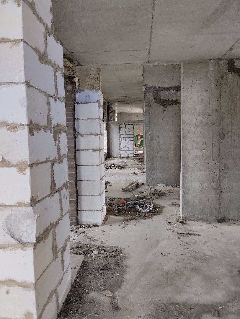 Строительство, долгострой, дольщики, Старая Купавна, Богородский городской округ